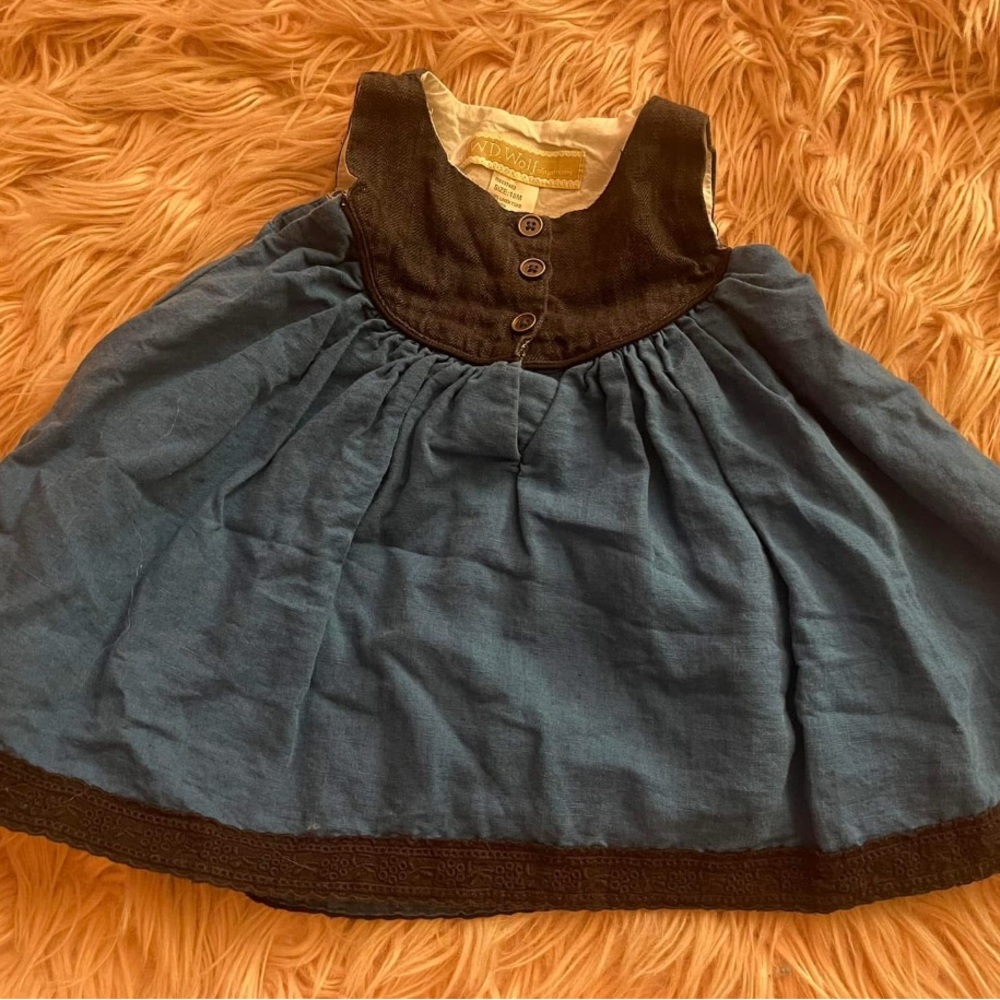 Well Dressed Wolf Blue and Black Casual Dress
